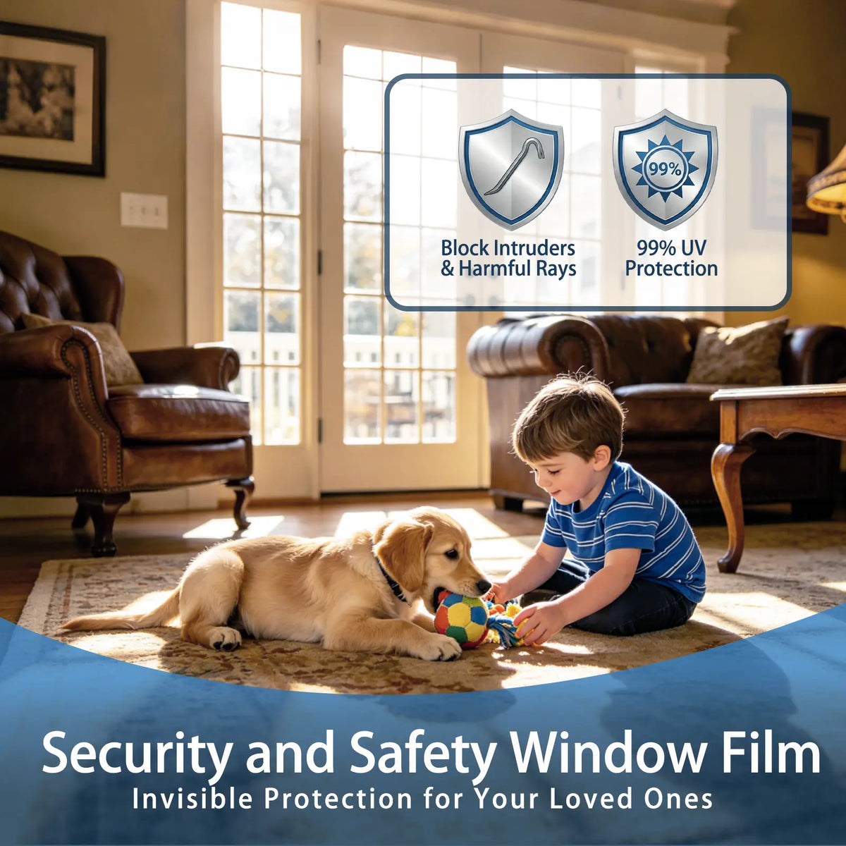 Living room with a child and dog playing, featuring security and safety window film advertisement.